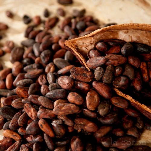 Cocoa Beans – Grade A bulk