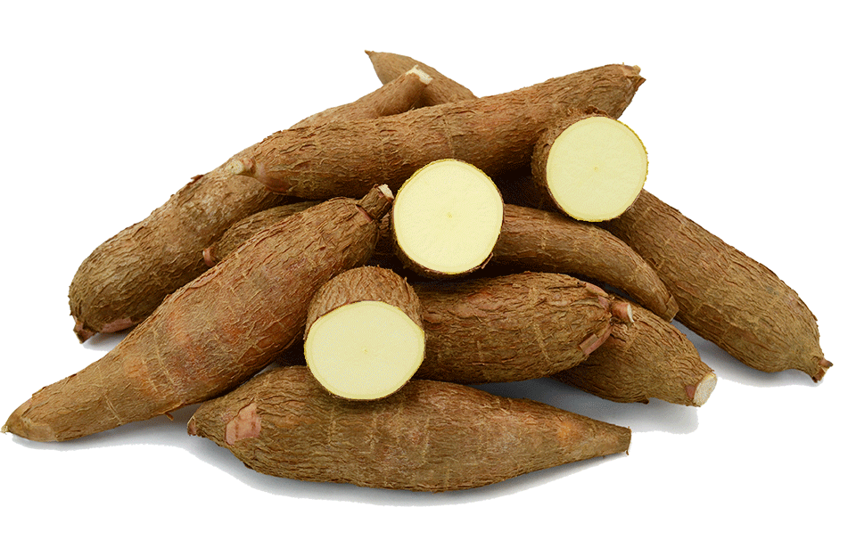 Cocoa Beans – Grade A bulk