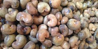 Raw Cashew Nuts (RCN) 48–50 lbs